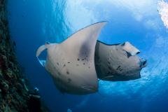  Maldives - Croisière Grand Sud Equateur à bord du  Seafari Explorer
